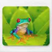 Tapis De Souris Red-eyed tree frog, Costa Rica (Devant)