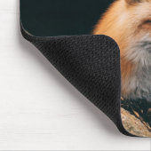 Tapis De Souris Red Fox dormant (Coin)