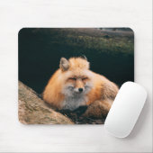 Tapis De Souris Red Fox dormant (Avec souris)