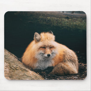Tapis De Souris Red Fox dormant