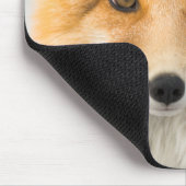 Tapis De Souris Red Fox Portrait (Coin)