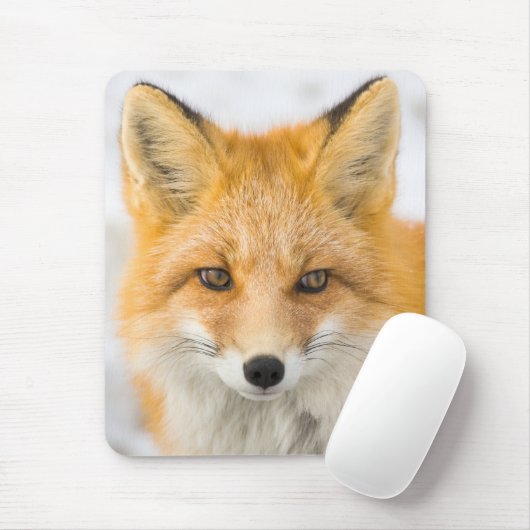 Tapis De Souris Red Fox Portrait (Avec souris)