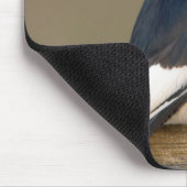 Tapis De Souris Red-headed Woodpecker on fence (Coin)