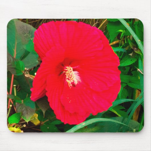 Tapis de souris Red Hibiscu (Devant)