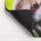 Tapis De Souris Red Panda (Coin)