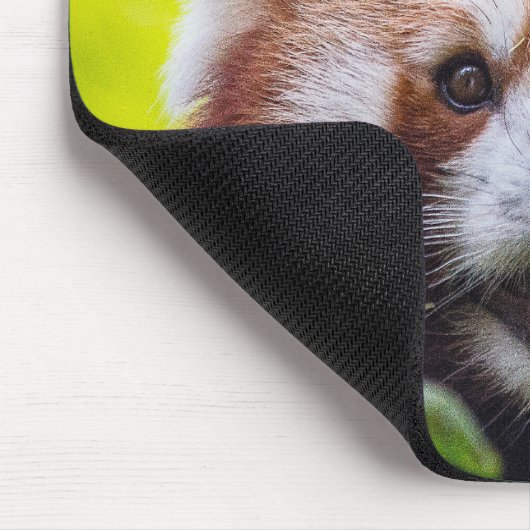 Tapis De Souris Red Panda (Coin)