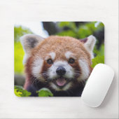 Tapis De Souris Red Panda (Avec souris)