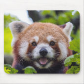 Tapis De Souris Red Panda (Devant)