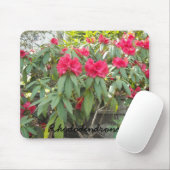 Tapis De Souris Red Rhododendron (Avec souris)