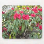 Tapis De Souris Red Rhododendron (Devant)
