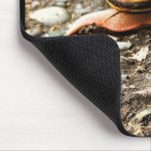 Tapis De Souris Red Snail on the Ground (Coin)