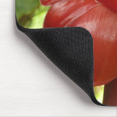 Tapis De Souris Red Torch Ginger Tropical Flower Photographie (Coin)