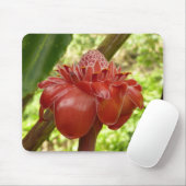Tapis De Souris Red Torch Ginger Tropical Flower Photographie (Avec souris)
