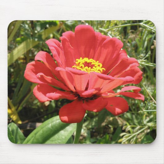 Tapis De Souris Red Zinnia Mousepad (Devant)