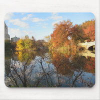 Reflets de Central Park en automne