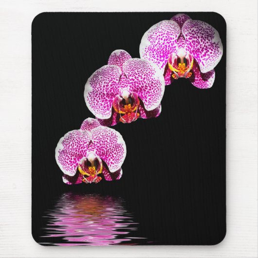 Tapis de souris reflets d'orchidées Phalaenopsis v (Devant)