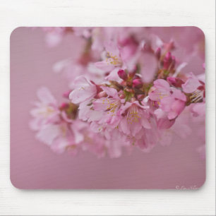 Tapis De Souris Reflets Rose Pâle des Fleurs de Cerisier Sakura