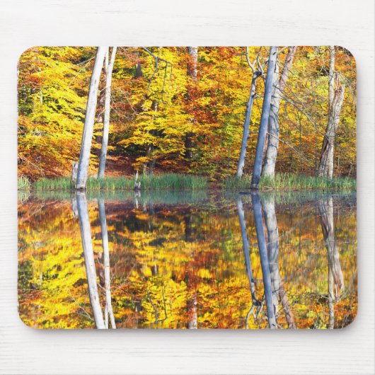 Tapis De Souris Réflexion d'automne (Devant)