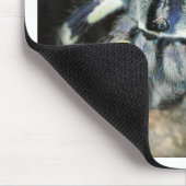 Tapis De Souris Regalis de Poecilotheria (Coin)