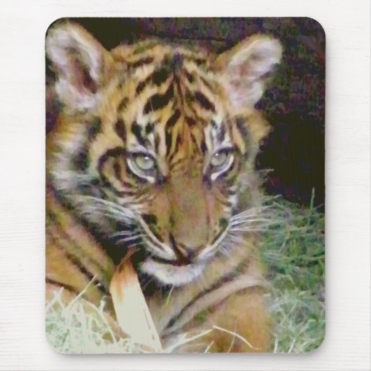 Tapis De Souris Regard (Devant)