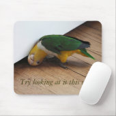 Tapis De Souris Regard d'essai (Avec souris)