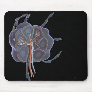 Tapis De Souris Regard magnifié d'un ganglion lymphatique