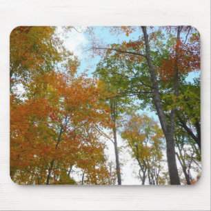 Tapis De Souris Regardant vers le haut les feuilles d'automne I Fe