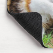 Tapis De Souris Régime riche en fer (Coin)