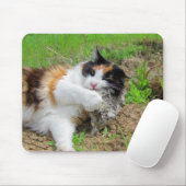 Tapis De Souris Régime riche en fer (Avec souris)