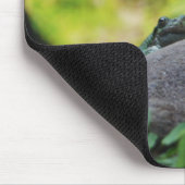 Tapis De Souris Règne animal HD Mousepad - grenouille (Coin)