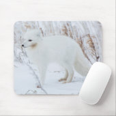 Tapis De Souris Renard arctique (Avec souris)