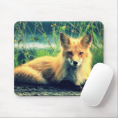 Tapis De Souris Renard orange (Avec souris)