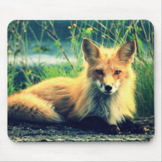 Tapis De Souris Renard orange