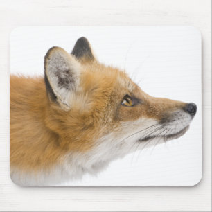 Tapis De Souris Renard rouge