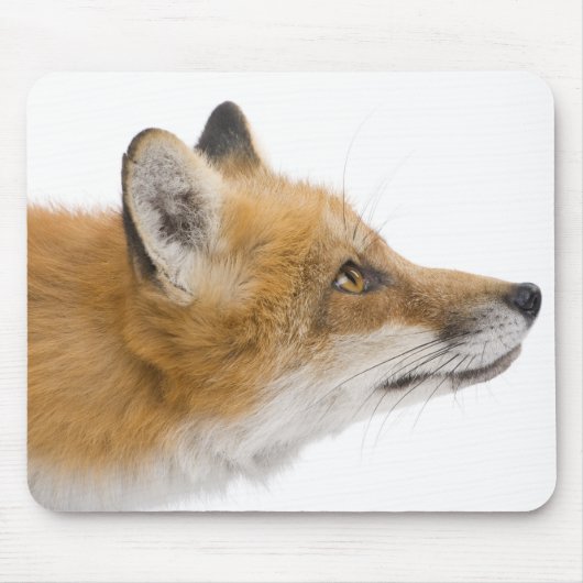 Tapis De Souris Renard rouge (Devant)