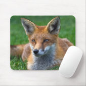 Tapis de souris Renard Rouge (Avec souris)