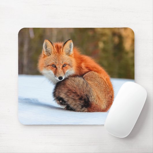 Tapis De Souris Renard Rouge En Neige | Yukon (Avec souris)