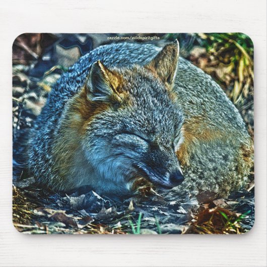 Tapis De Souris Renard roux endormi sur la faune Feuille (Devant)