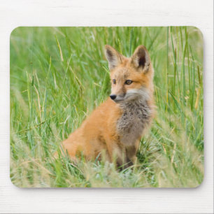 Tapis De Souris Renard roux nouveau-né dans l'herbe près de terrie