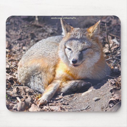 Tapis De Souris Renard roux se reposant dans la faune de la Sunshi (Devant)