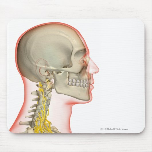 Tapis De Souris Rendu des nerfs du cou (Devant)