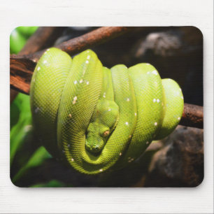Tapis De Souris Repaire de serpent vert