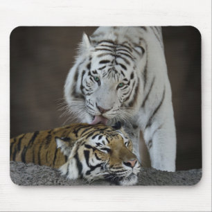 Tapis De Souris Repos blanc et Brown de tigres