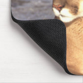Tapis De Souris Repos Cougar (Coin)