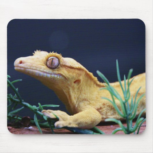 Tapis De Souris Repos crêté jaune de Gecko (Devant)