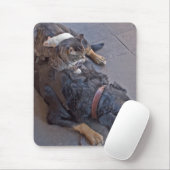 Tapis De Souris Repos facile (Avec souris)