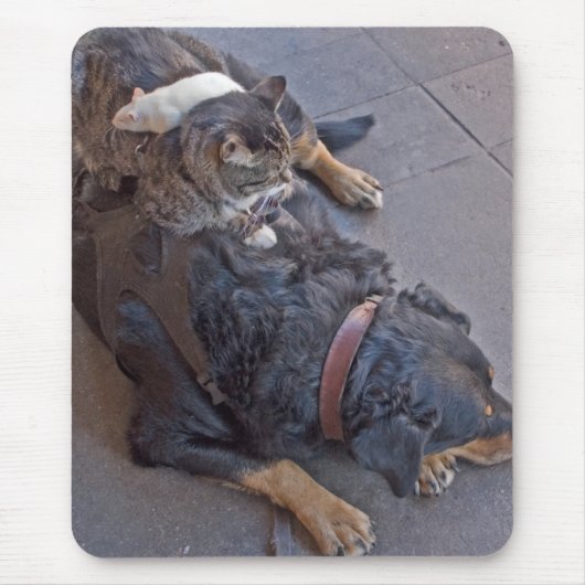 Tapis De Souris Repos facile (Devant)