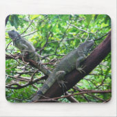 Tapis De Souris Repos reptile (Devant)