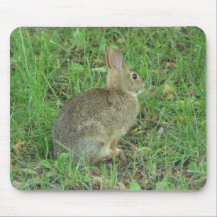 Tapis De Souris Repos sauvage de lapin