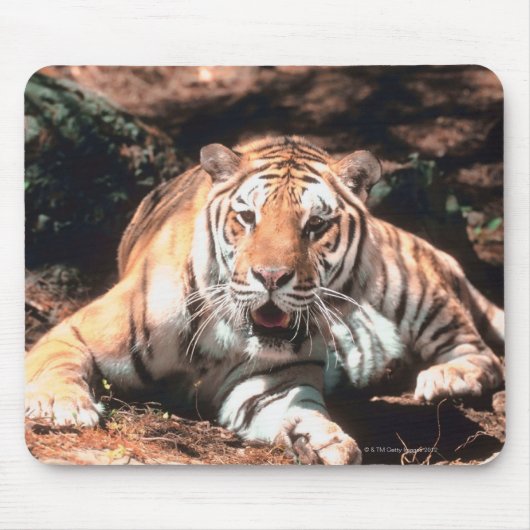 Tapis De Souris Repose de tigre (Devant)